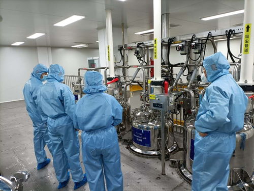 山東華素護(hù)理品獲消毒產(chǎn)品生產(chǎn)企業(yè)衛(wèi)生許可，開(kāi)啟專業(yè)消毒服務(wù)新篇章